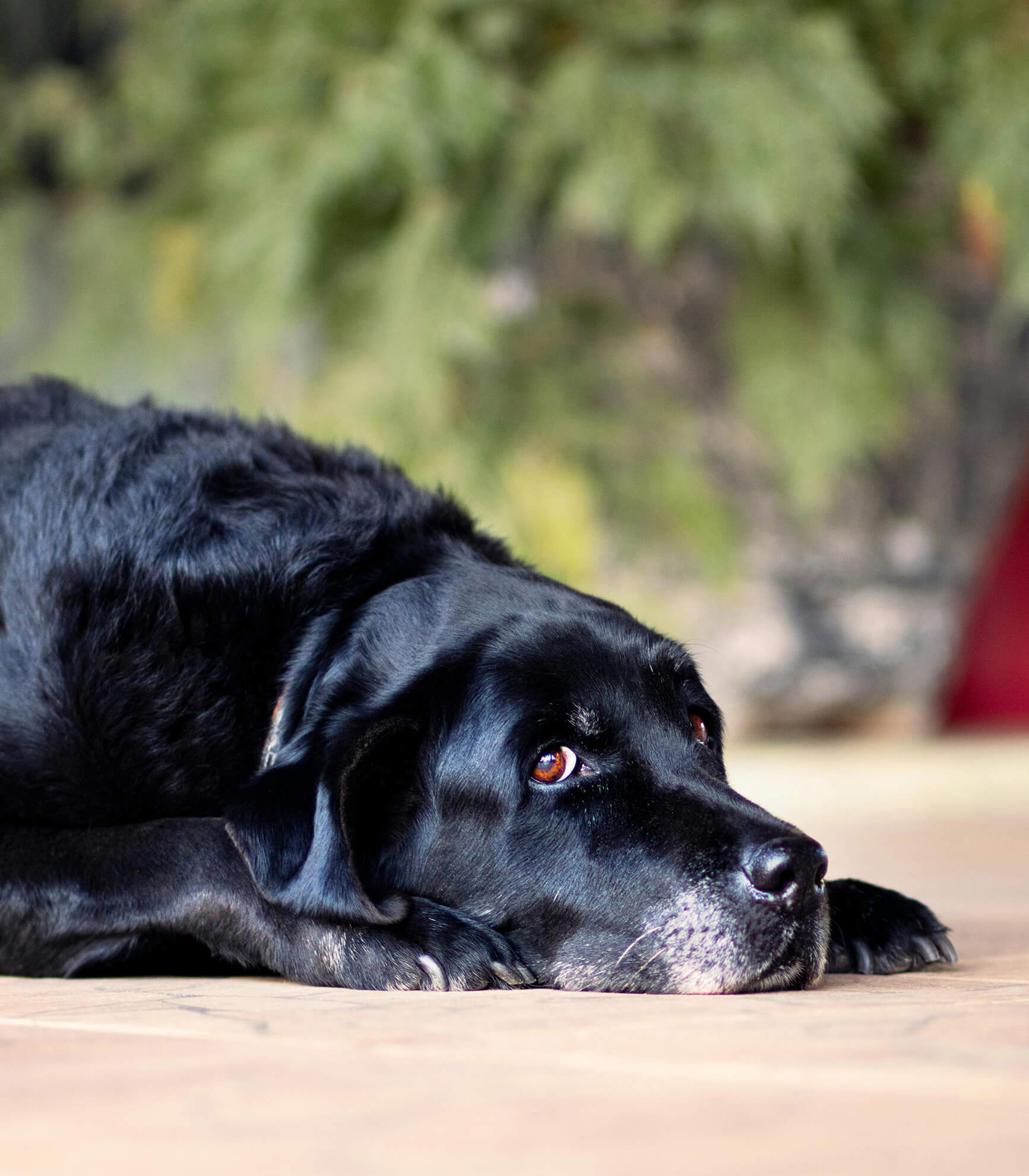 StresszmentesEb blog