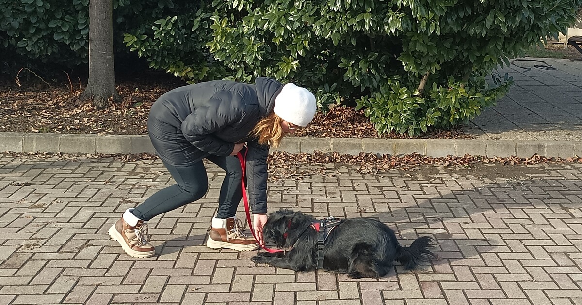 Stresszmenteseb cikk a dehir.hu-n